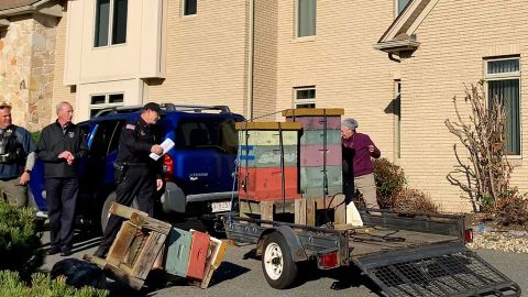 A Massachusetts woman allegedly towed bees on the back of her SUV before unleashing them on sheriff's deputies on October 12, 2022.