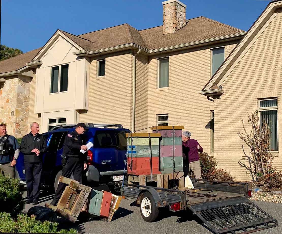 A Massachusetts woman allegedly towed bees on the back of her SUV before unleashing them on sheriff's deputies on October 12, 2022. 