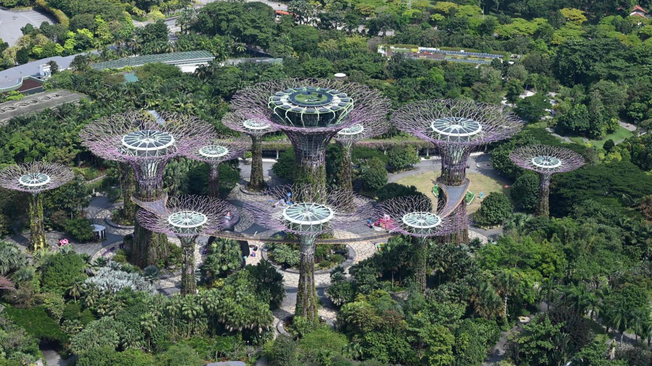 Urban greenery around the "Supertree Grove" at Gardens by the Bay in Singapore. 
