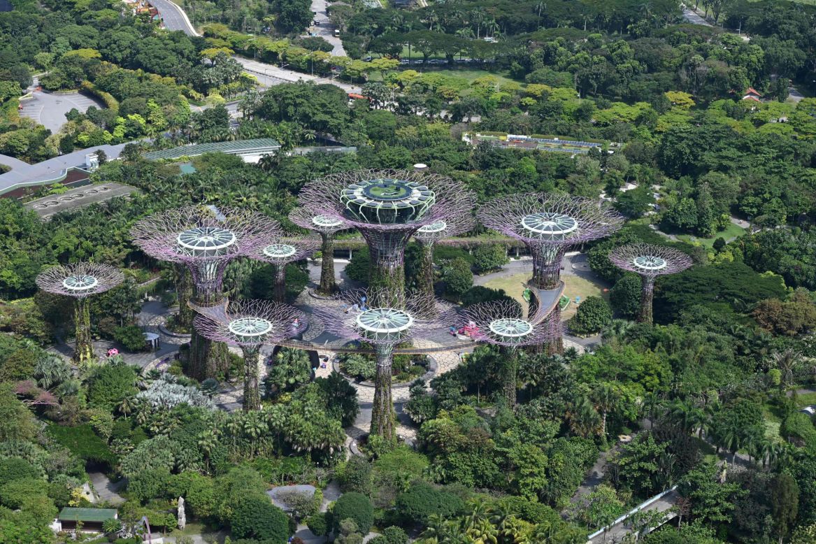 Singapore has long been a proponent of green corridors. These high-tech "Supertrees" are surrounded by an oasis of urban greenery.