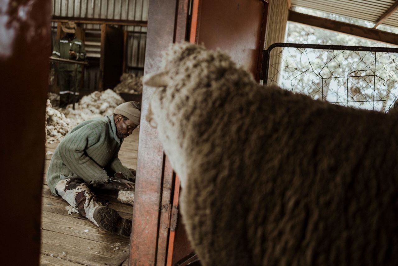 A shearer sharpens his tool in Semonkong, Lesotho, on Friday, October 14. Wool and mohair are some of the main exports of Lesotho.