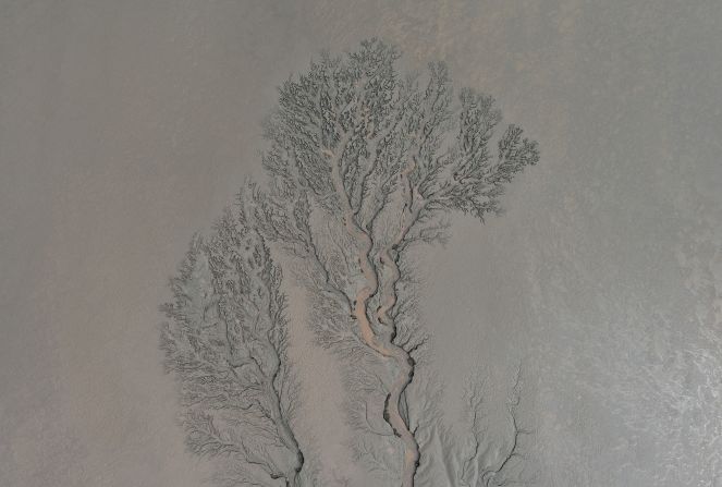An aerial view of a tidal flat forms into a shape resembling a tree in the Qiantang River in Zhejiang, China, on Monday, October 17.