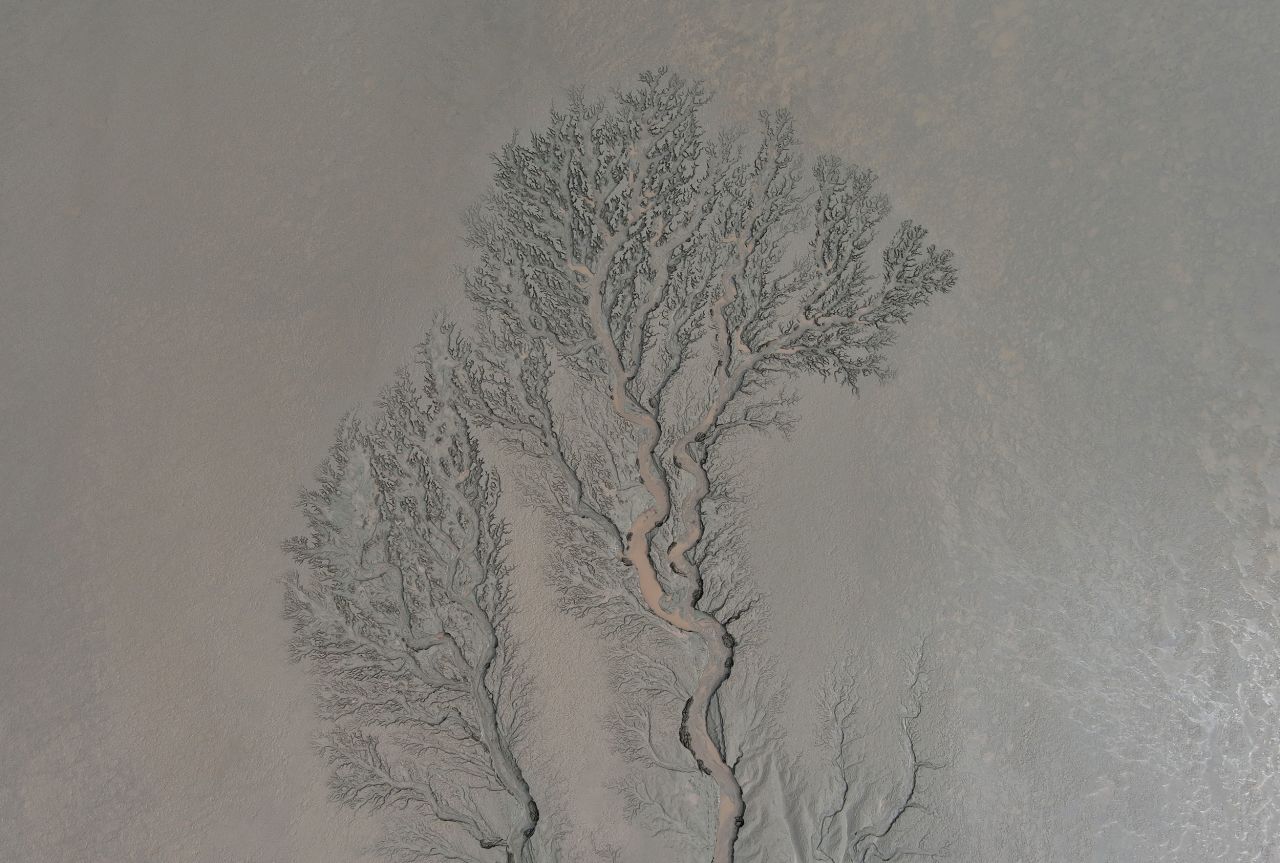 An aerial view of a tidal flat forms into a shape resembling a tree in the Qiantang River in Zhejiang, China, on Monday, October 17.