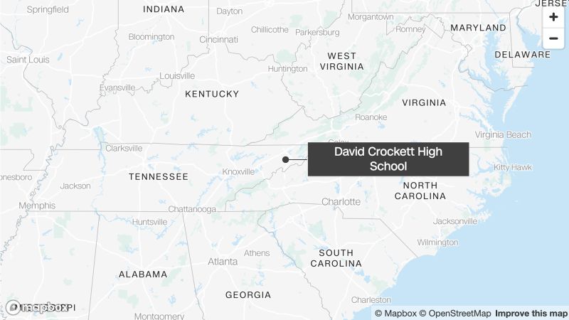 French Pilot Convicted for Accidental Fatality Involving Skydiver's Wing Strike