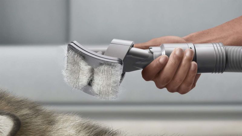 Dyson dog sale hair brush