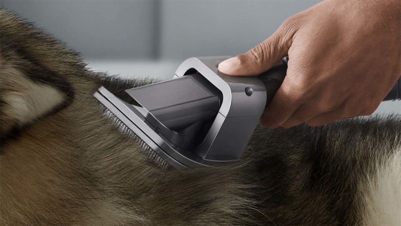 Dyson dog shop grooming attachment