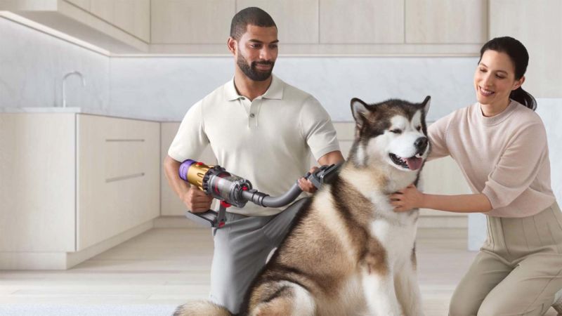 Dog hair outlet vacuum brush