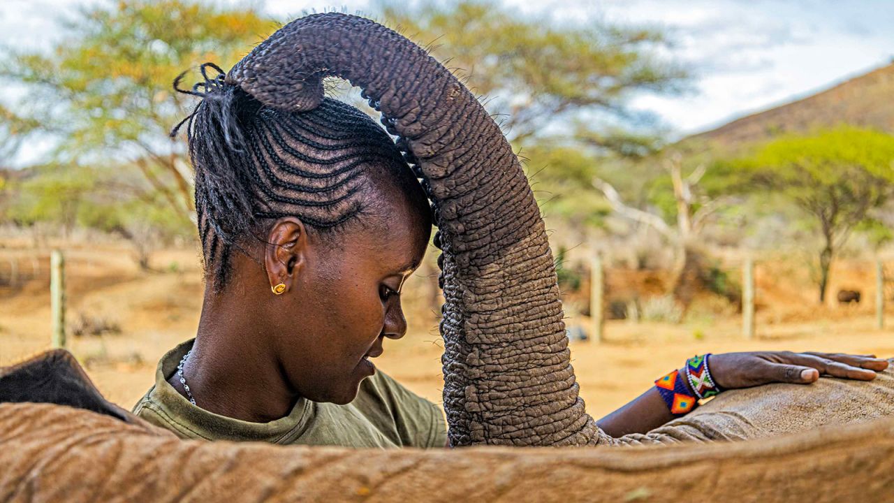 In a photo taken by Anthony Ochieng Onyango, a ranger cares for an orphaned elephant at the Reteti Elephant Sanctuary in Kenya.