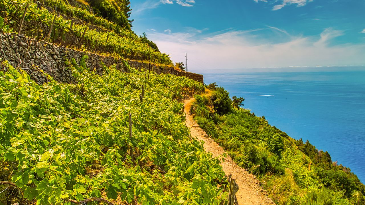 Liguria is a land of steep cliffs and mountains which are terraced to grow food and wine.