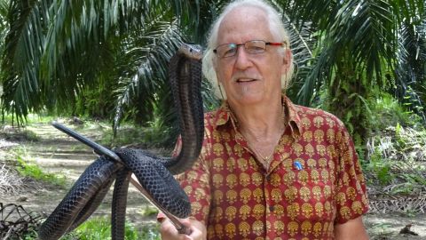 Rom Whitaker's lifelong interest in snakes began in northern New York State. At 7, he moved to India with his family. He's with an equatorial spitting cobra (also called a Sumatran spitting cobra) in this photo. 