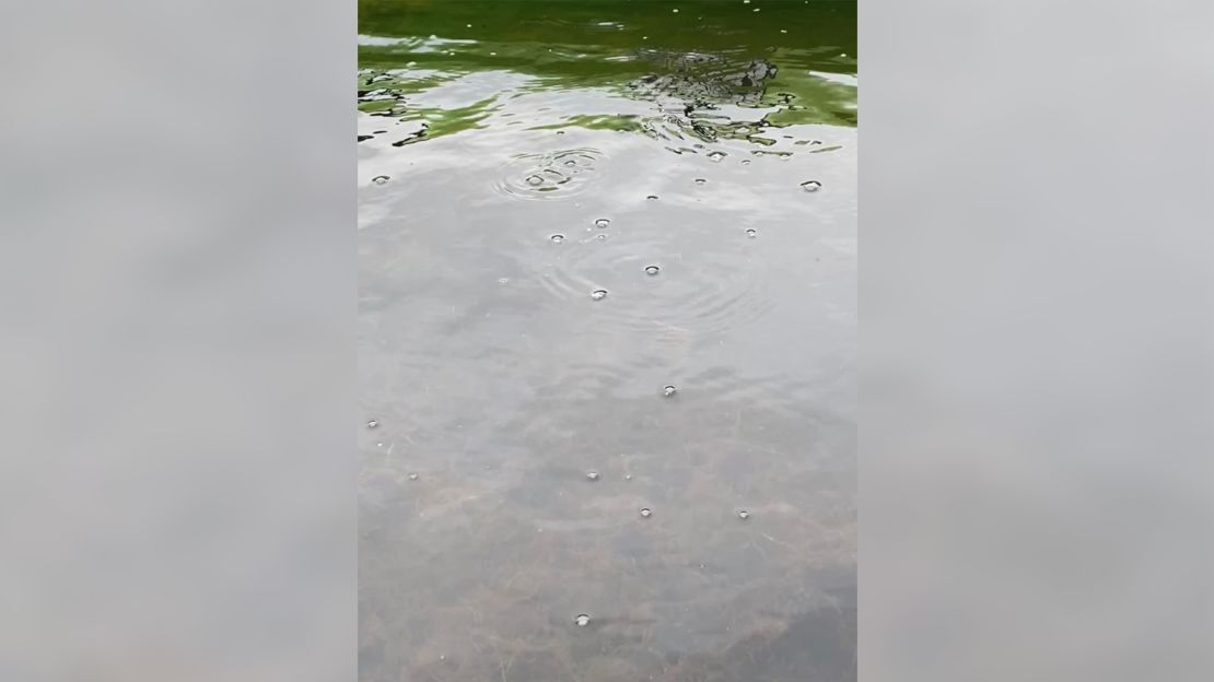 Bubbles of methane — a potent greenhouse gas — appear on the surface of Big Trail Lake in Alaska.