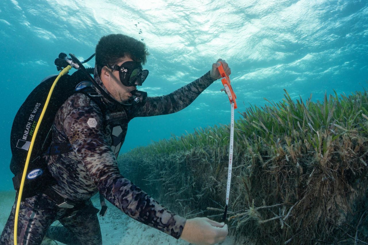 Dr Austin Gallagher from conservation non-profit Beneath the Waves is pictured taking data from a section of a newly discovered 93,000 square kilometer seagrass meadow, off the Bahamas.