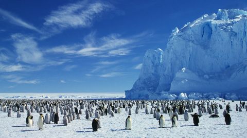 Antarctica's emperor penguin colonies could suffer if greenhouse gas emissions go unchecked.