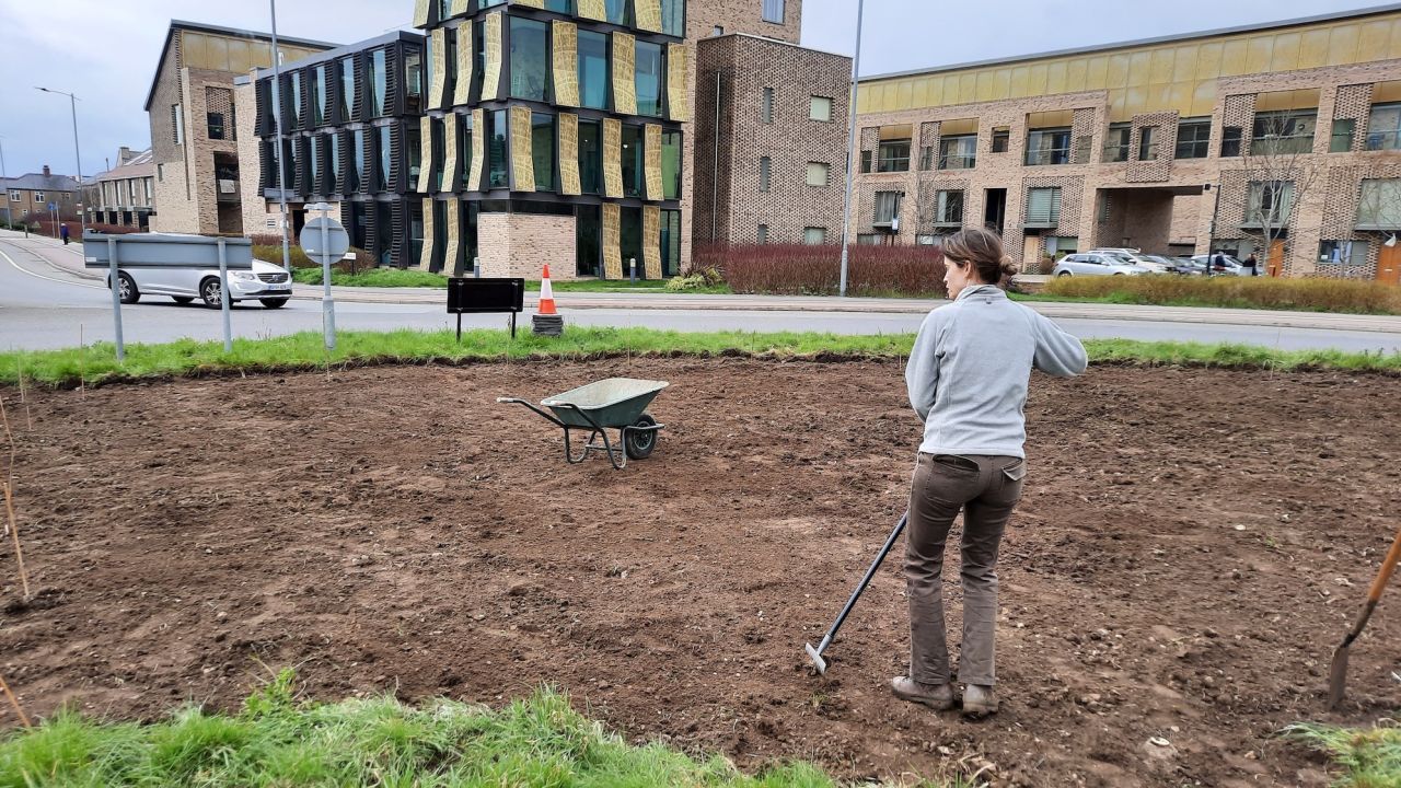 On The Verge Cambridge volunteers prepare the Addenbrooke's roundabout in Cambridge, England, to be seeded with wildflowers.