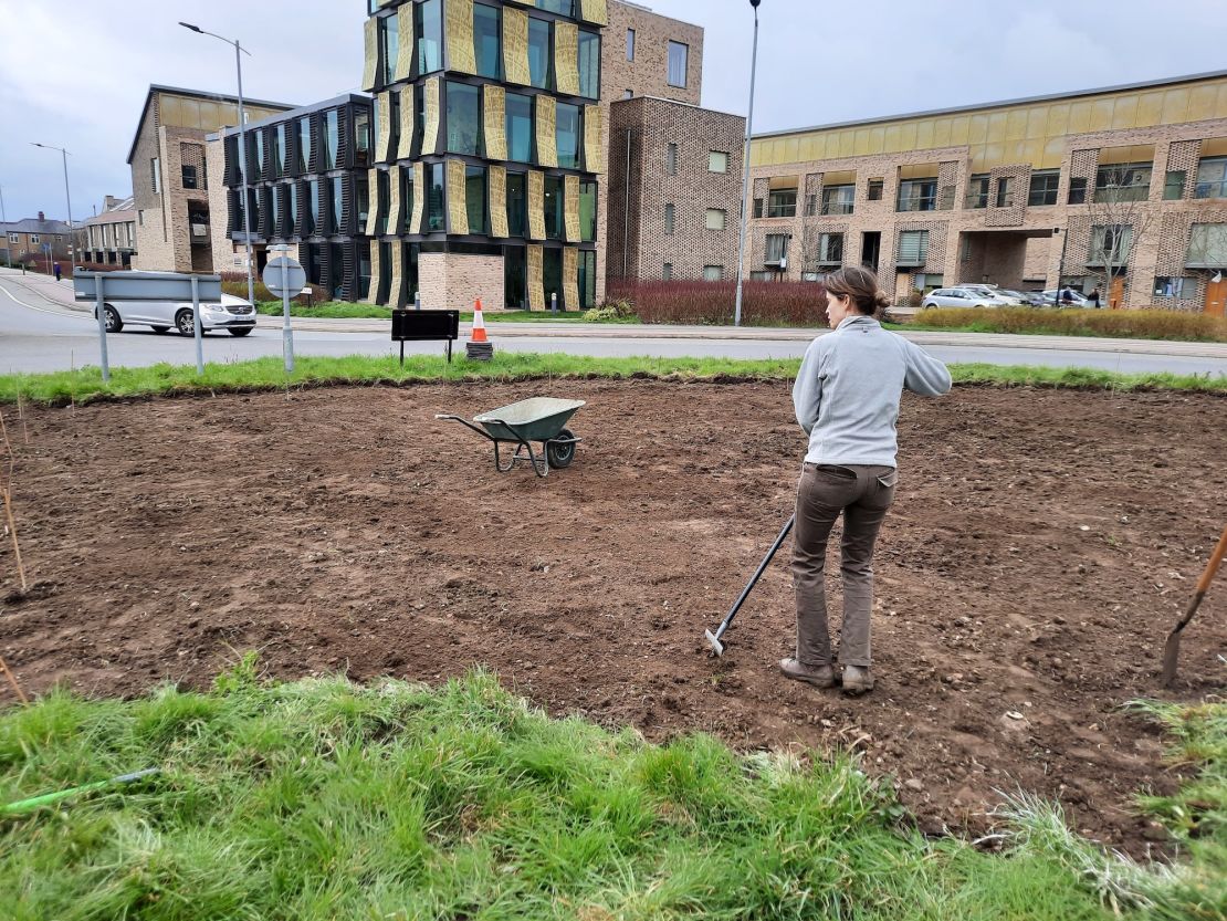 On The Verge Cambridge volunteers prepare the Addenbrooke's roundabout in Cambridge, England, to be seeded with wildflowers. 