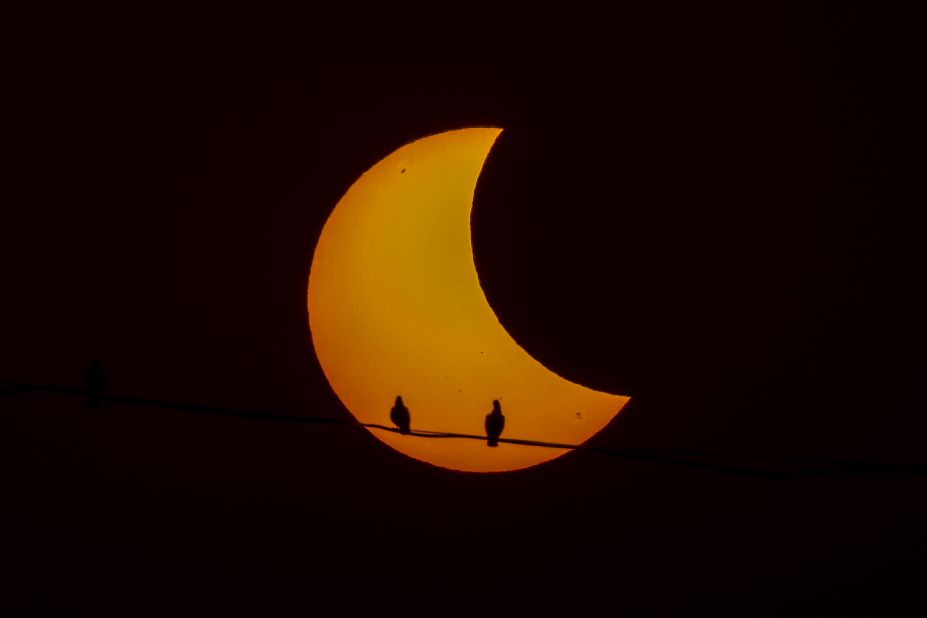 Pigeons are silhouetted during a partial solar eclipse in New Delhi on Tuesday, October 25.