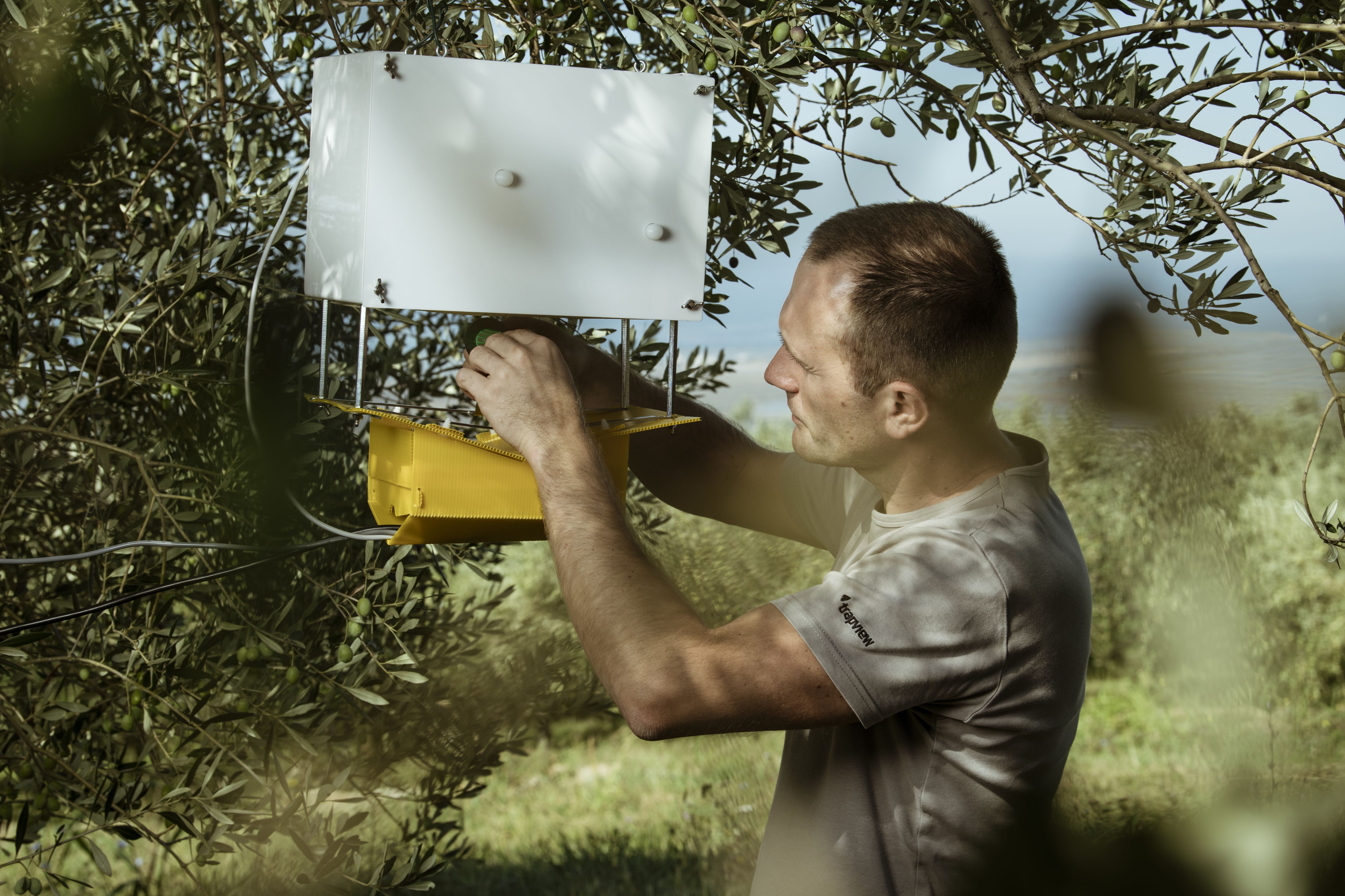Trapview: Can an AI-powered insect trap solve a $220 billion pest