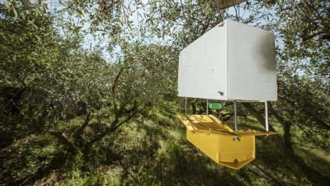 Trapview is one of the few automated insect detection systems.