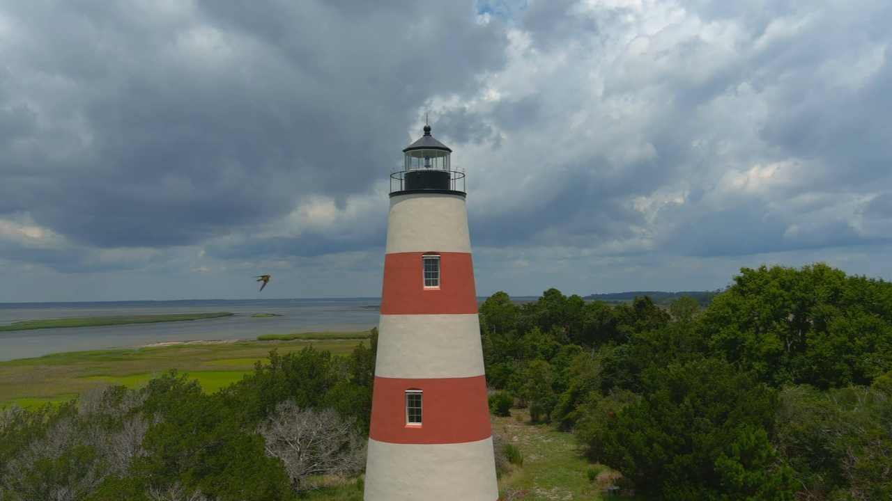 ABR Sapelo Island _00015916.png