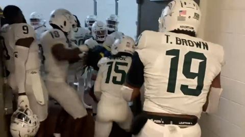 Video from The Detroit News shows MSU Spartans scuffling with a Michigan Wolverine.