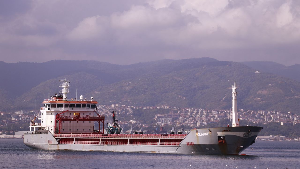 The Turkish-flagged ship Polarnet, carrying grain from Ukraine, arrives at Derince Port, Kocaeli, Turkey, on August 8, 2022.