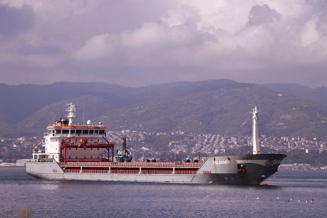 The Turkish-flagged ship Polarnet, carrying grain from Ukraine, arrives at Derince Port, Kocaeli, Turkey, on August 8, 2022.