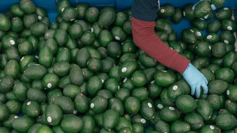 Avocados from Mexico account for over 90% of the supply in the US.