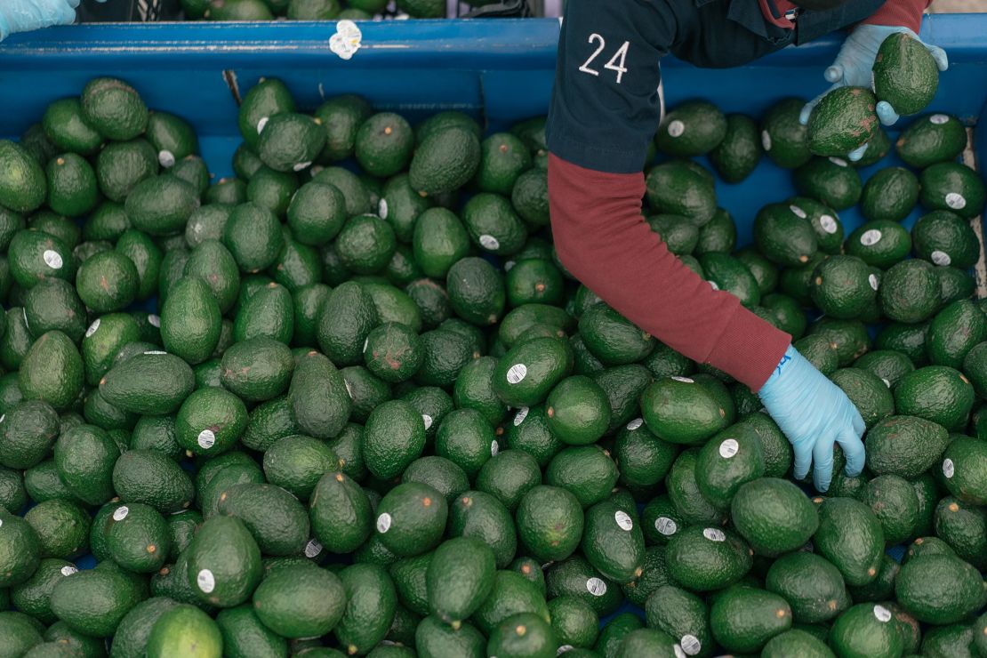 Avocados from Mexico account for over 90% of the supply in the US.