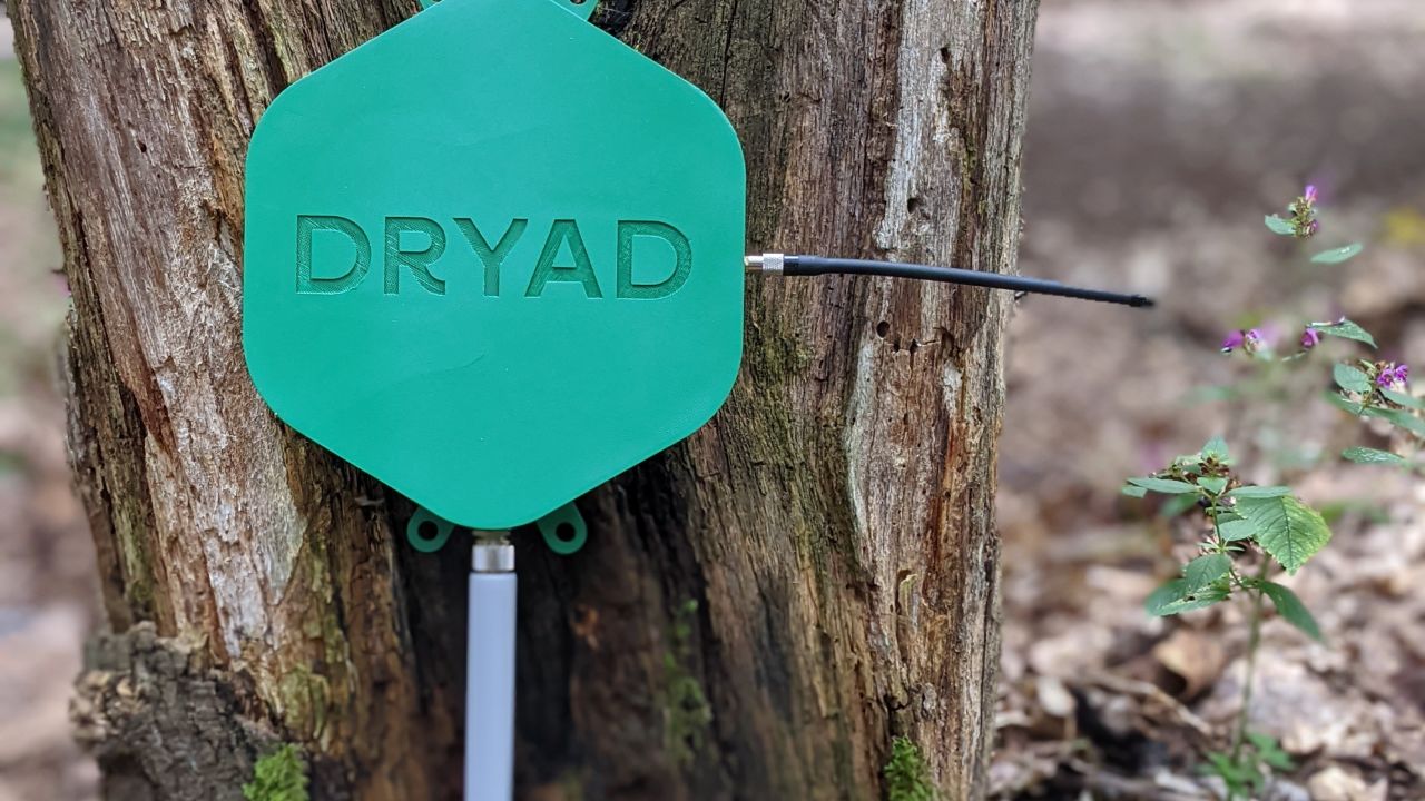 Placed at the edge of the forest, these gateway sensors transmit the emergency signals to the internet over satellite and 4G.