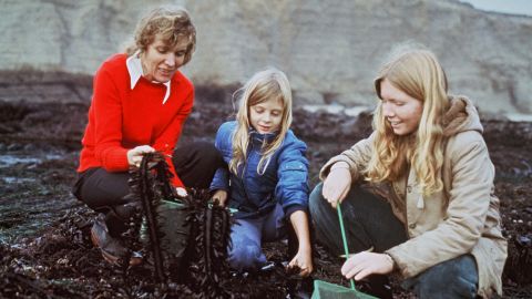 Earle picking seaweed with her two daughters, Liz and Gale (from right). 