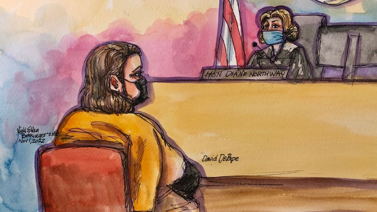 David Wayne DePape, 42, who is charged with breaking into US House Speaker Nancy Pelosi's San Francisco home and clubbing her husband in the head with a hammer, wears his arm in a sling before San Francisco Superior Court Judge Diane Northway at the Criminal courts in San Francisco, November 1, 2022, in this courtroom sketch.