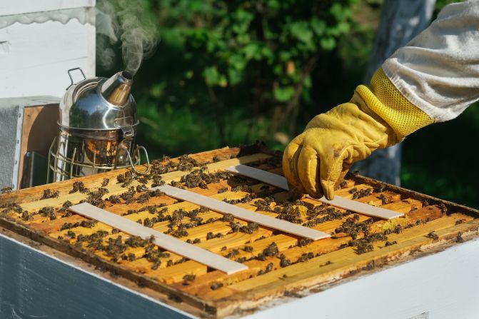 Naturally-occurring miticides like thymol, oxalic acid and formic acid, as well as harsher synthetic aides, are among some of the current treatments to get rid of varroa mites.