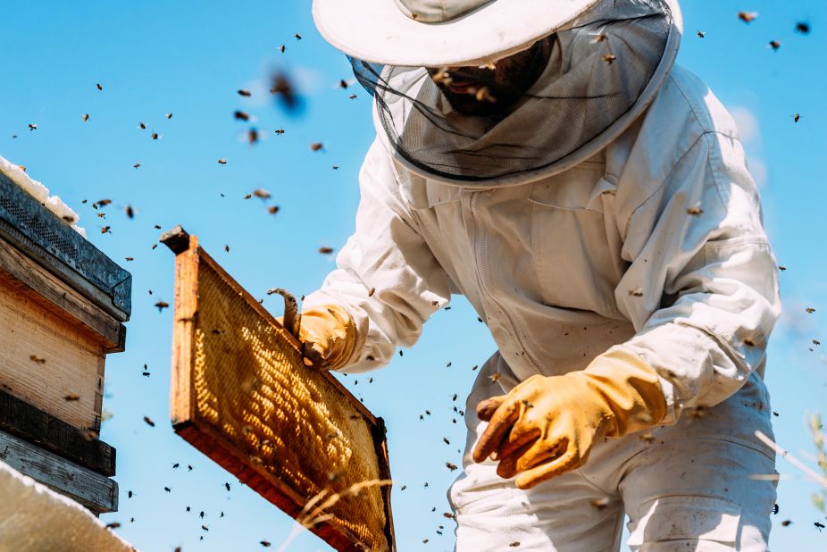 Honeybees produce six hive products: honey, pollen, royal jelly, beeswax, propolis, and venom. 