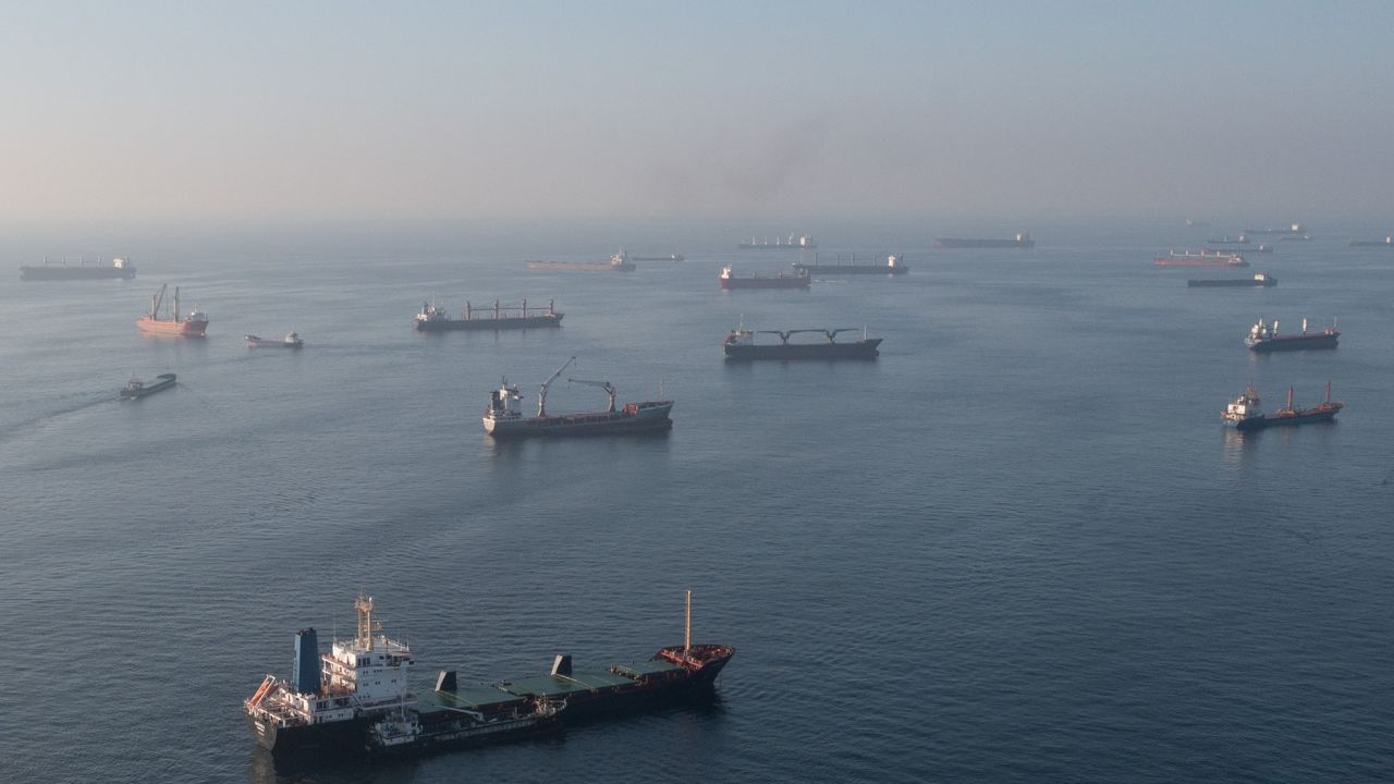 Ships, including those carrying grain from Ukraine and awaiting inspections, are seen anchored off the Istanbul coastline on November 02, 2022.