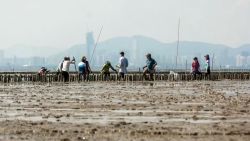 HK oyster reef card