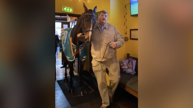 Animal rights organization criticizes trainer for parading racehorse in pub | CNN