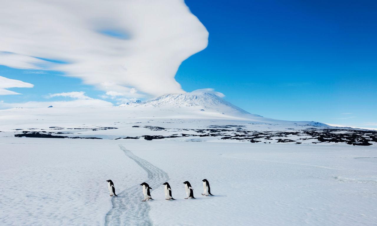 The Ross Sea, located in Antarctica's Southern Ocean, is a pristine marine ecosystem and one of the most remote Hope Spots one the planet. It is full of wildlife, from blue whales to Adélie Penguins, which are photographed here crossing the sea ice in front of Mount Erebus. After <a href="https://www.doc.govt.nz/about-us/international-agreements/antarctica-treaty-system/ross-sea-region-marine-protected-area/" target="_blank" target="_blank">sustained pressure</a> from Mission Blue and its partners, the region was established as a <a href="https://www.doc.govt.nz/about-us/international-agreements/antarctica-treaty-system/ross-sea-region-marine-protected-area/" target="_blank" target="_blank">marine protected area</a> in 2017.