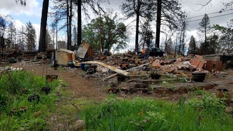 Beth Hana's garden in Paradise, California, was badly damaged by 2018's Camp Fire.