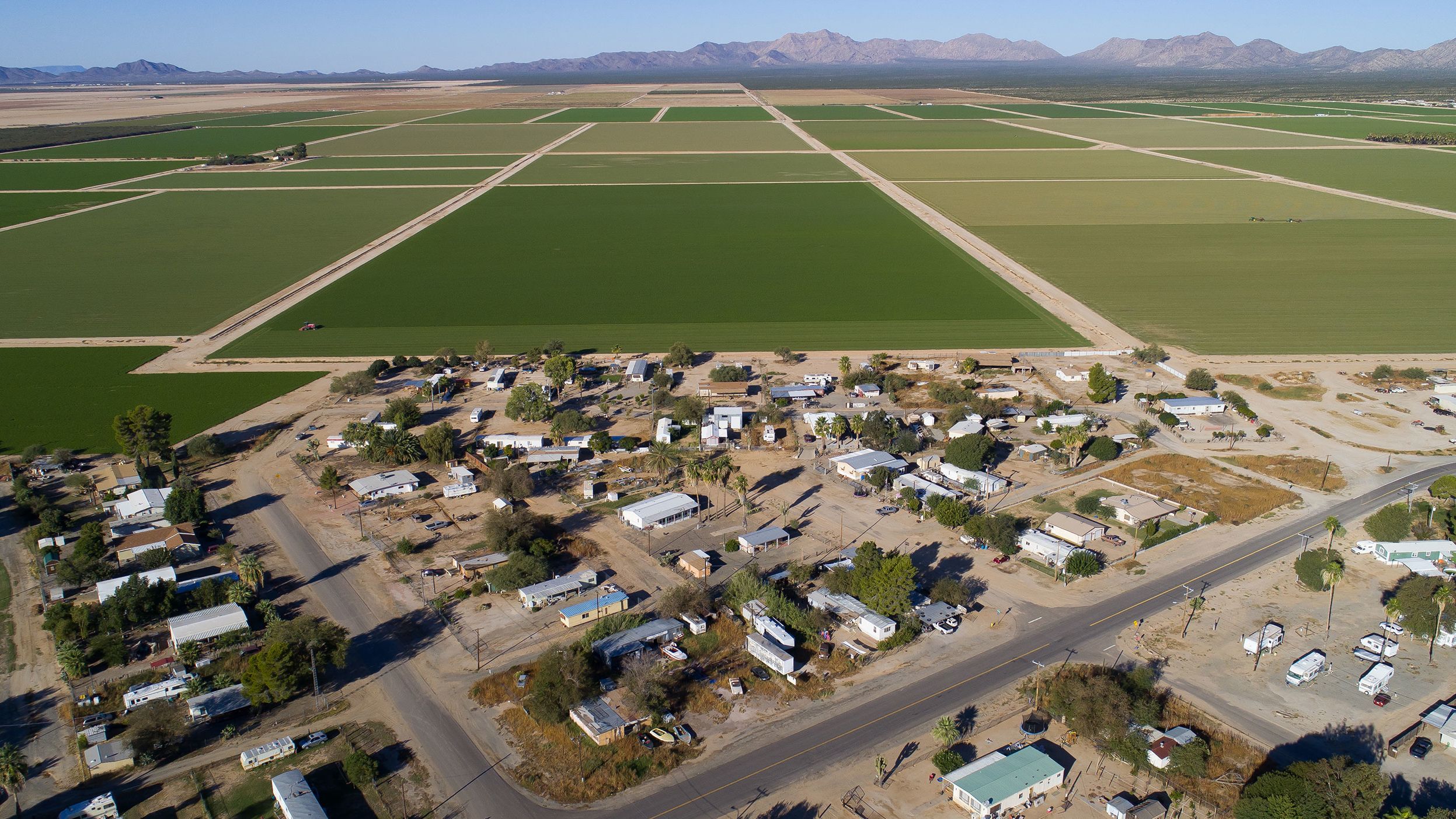 The sprawling alfalfa fields of Al Dahra Farms dwarf the town of Wenden, Arizona.