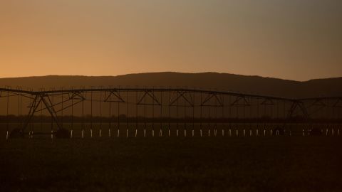 Wells are running dry in drought-weary Southwest as foreign-owned farms guzzle water to feed cattle overseas thumbnail