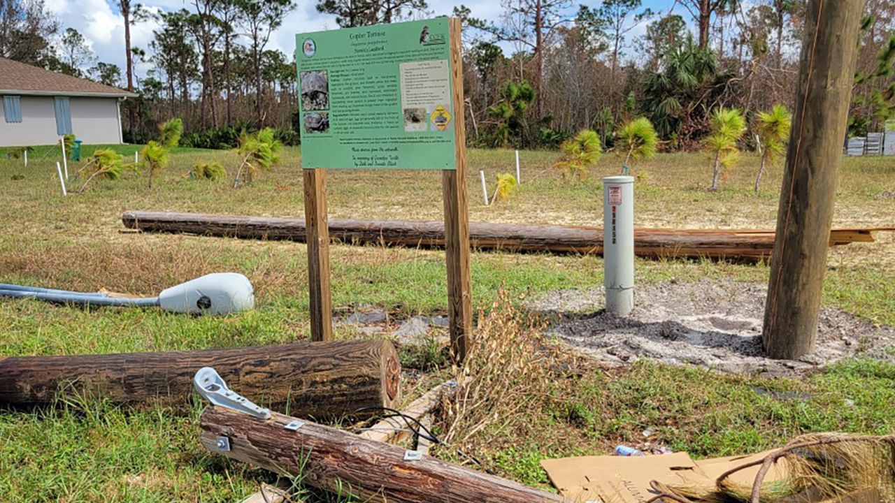 Pascha Donaldson of Cape Coral Friends of Wildlife noticed that burrows formerly belonging to owls were covered with fallen streetlights and other debris.