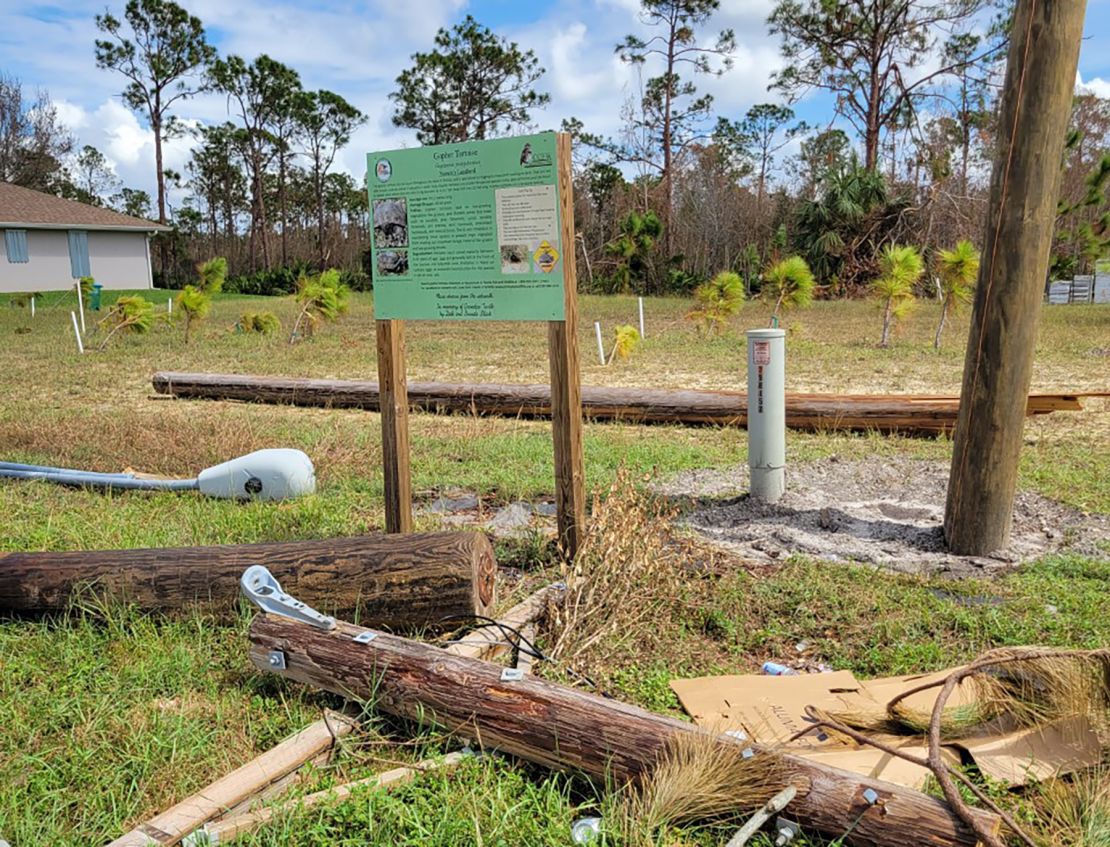 Pascha Donaldson of Cape Coral Friends of Wildlife noticed that burrows formerly belonging to owls were covered with fallen streetlights and other debris.
