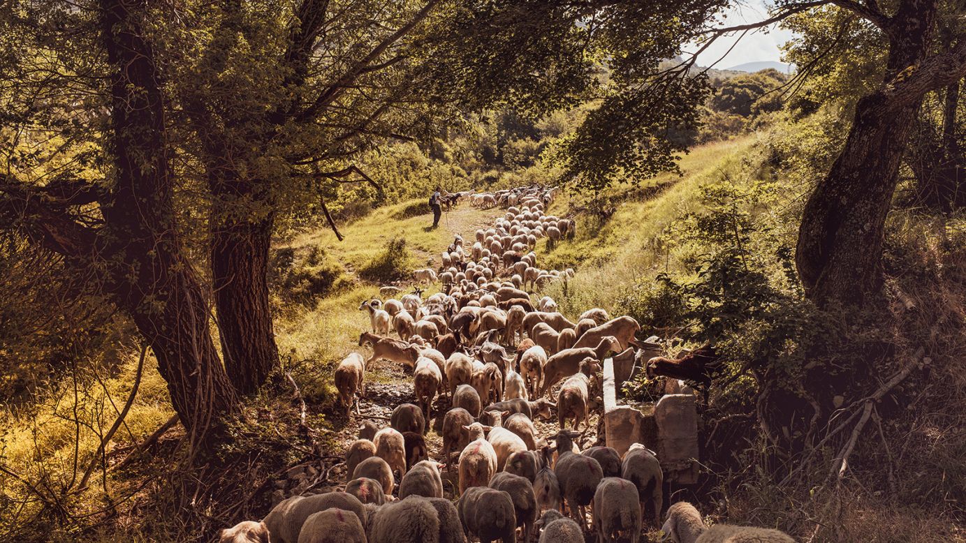 <strong>Favorite experiences:</strong> De Vleeschauwer has collated 12 of his favorite experiences in a new photo book, "Remote Experiences: Extraordinary Travel Adventures From North to South." De Vleeschauwer's wife and frequent travel partner Debbie Pappyn wrote accompanying essays. Pictured here: sheep and goat herding in Abruzzo, Italy.