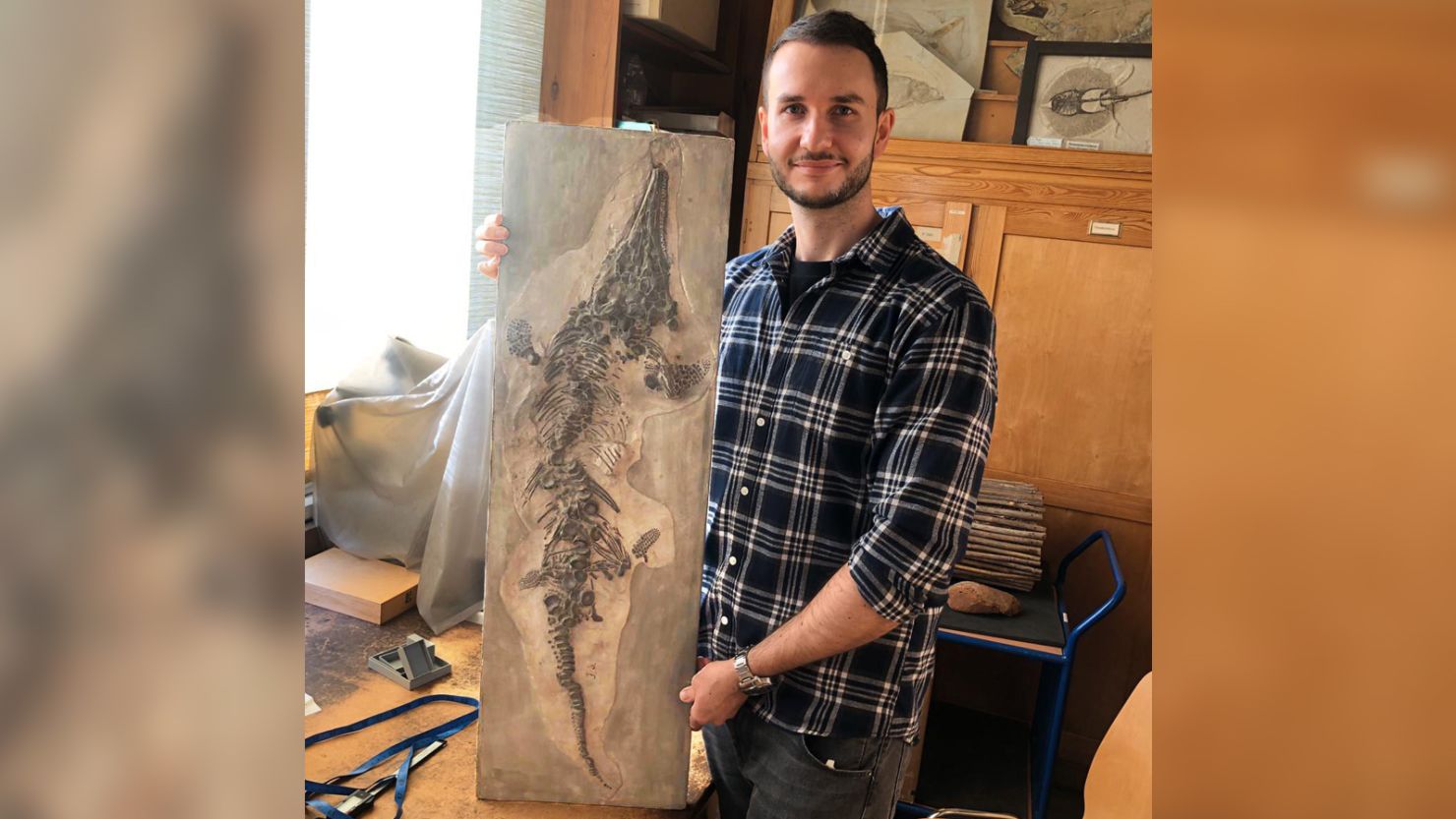 A priceless fossil destroyed in WWII has resurfaced in an unusual way | CNN