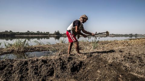 Adel Yacoub, a 50-year-old Egyptian farmer, works a field in the village of Gabal al-Tayr.