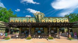 General views of Animal Kingdom, at the Walt Disney World Resort
Walt Disney World Resort, Orlando, Florida, USA - 03 Apr 2022