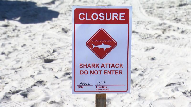 A California swimmer was bit by a shark at Del Mar Beach | CNN