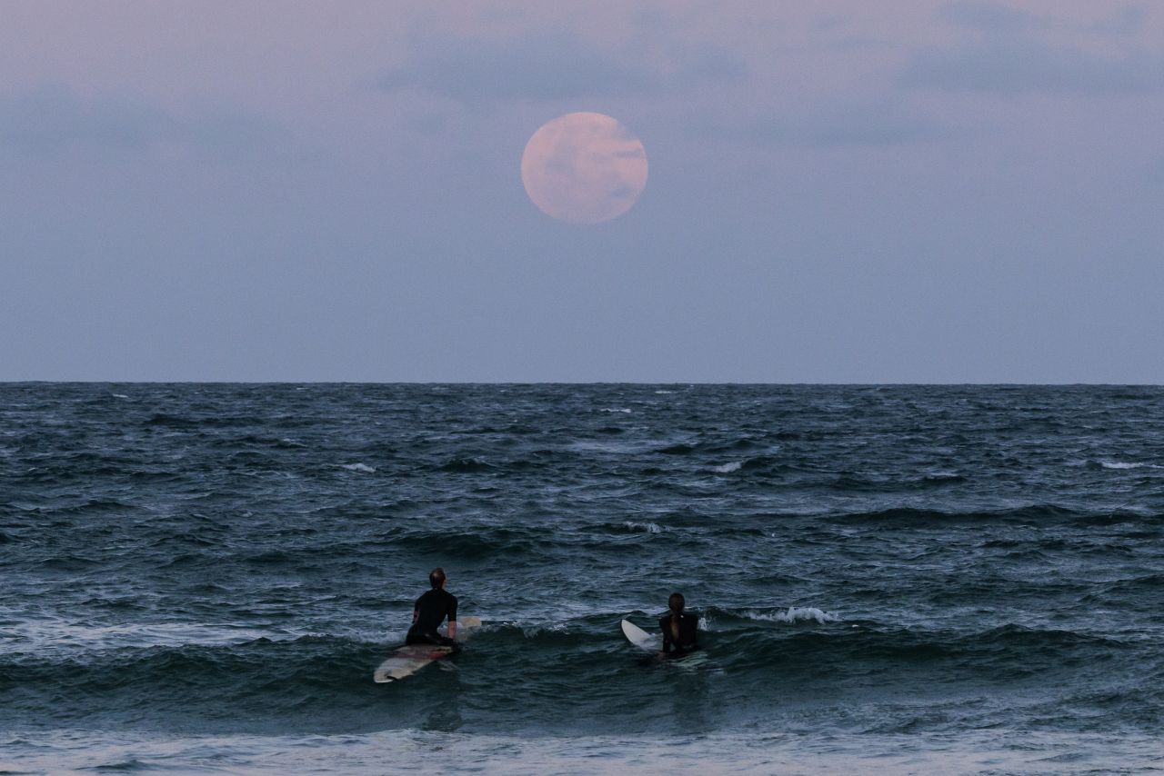 The full moon rises at Manly Beach in Sydney ahead of a total lunar eclipse on November 8. Australians experienced the first visible total lunar eclipse of the year on Tuesday.