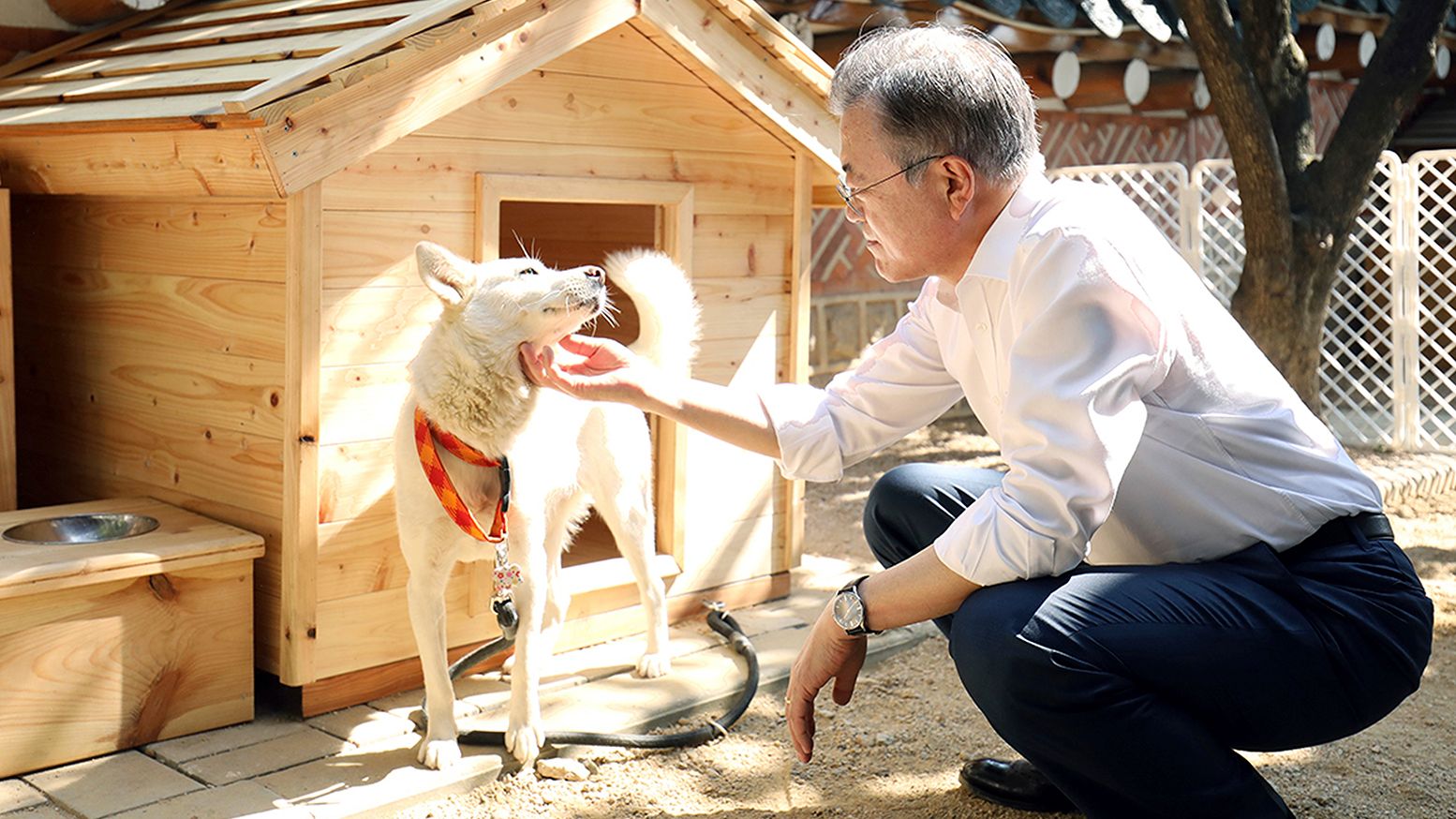 Moon Jae-in pets Pungsan dog Gomi in Seoul, South Korea in 2018.
