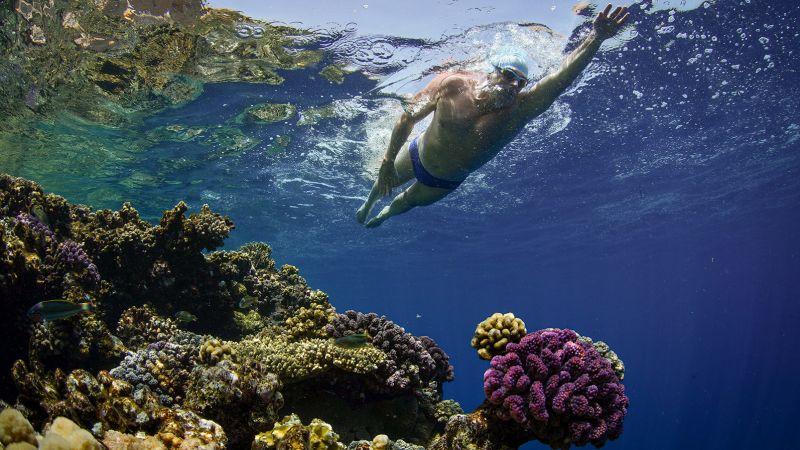 How Lewis Pugh braved sharks and shipping containers in the world’s first swim across the Red Sea | CNN